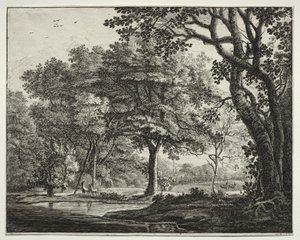 Seis vistas en el bosque de La Haya: Lámina 6, Dos ciervos de Roelant Roghman