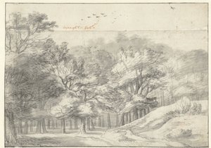 Ver en el Haagse Bos de Roelant Roghman