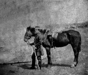 Capitán Arthur Layard, 1855