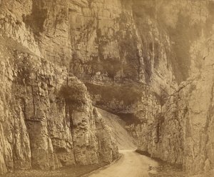 Acantilados de Cheddar de Roger Fenton