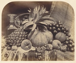  de Roger Fenton
