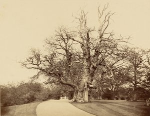  de Roger Fenton
