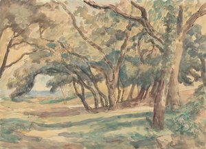 Claro arbolado cerca de St. Tropez de Roger Fry