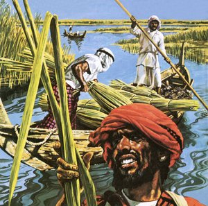 Hombres de las marismas del sur de Irak de Roger Payne