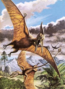 Pteranodon (arriba) y Rhamphorhynchus (abajo) de Roger Payne