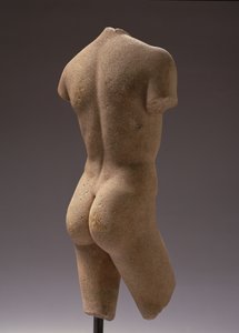 Vista trasera de un joven desnudo