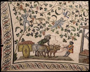 La cosecha de uvas de Roman