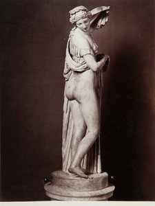 La Venus Calipigia (mármol)