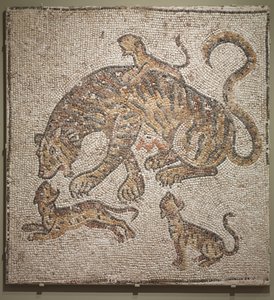 Tigresa y cachorros, c.300 d.C. de Roman
