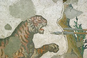 Imagen Desconocida de Roman