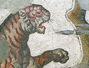 Imagen Desconocida de Roman