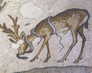 Imagen Desconocida de Roman