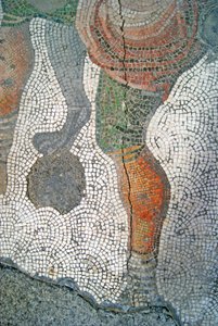 Imagen desconocida de Roman