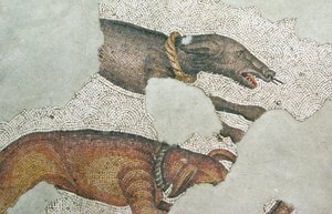 Imagen desconocida de Roman