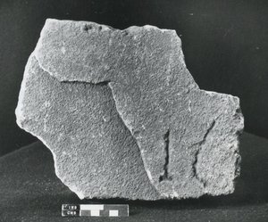 Piedra centurial de Roman Roman