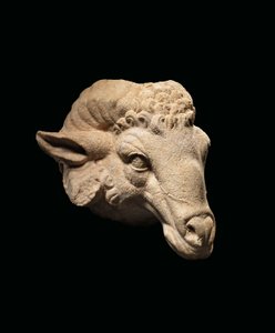 Cabeza de un carnero, c. siglo I a.C. - siglo I d.C. (mármol)