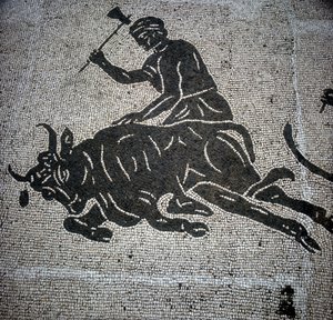 Mosaico que representa una escena de matanza de un toro encontrado en Ostia (Ostia) (cerca de Roma). Actualmente conservado en la antigua Sala de Bomberos de Ostia. de Roman Roman
