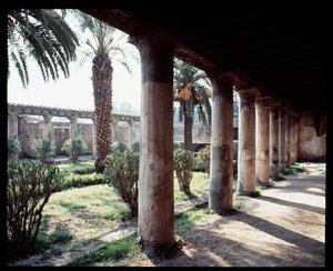 Vista del peristilo de la Casa de Argo (casa de Argos), siglo V a.C.-I d.C. de Roman Roman