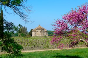 Capilla románica Saint-Etienne de Vaissiere en Azille (fotografía) de Romanesque