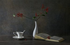 Naturaleza muerta de lectura acogedora de Rong Wei