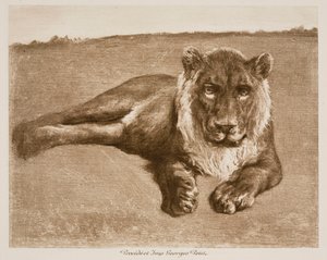  de Rosa Bonheur