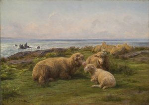Ovejas junto al mar de Rosa Bonheur