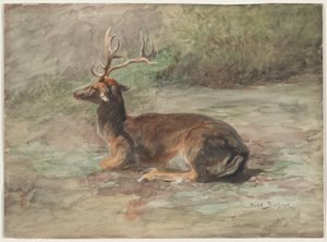 Stag Lying Down de Rosa Bonheur