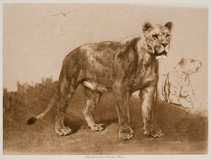  de Rosa Bonheur