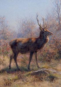 El Ciervo de Rosa Bonheur