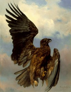 El águila herida de Rosa Bonheur