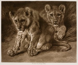  de Rosa Bonheur