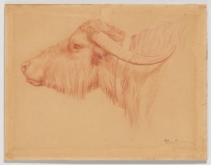  de Rosa Bonheur