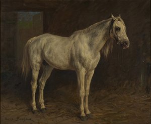 Caballo blanco de Rosa Bonheur