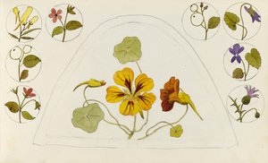 Diseños con capuchinas y otras flores de Rosa Brett