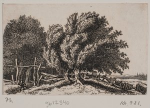 Paisaje de Rosalie Holm