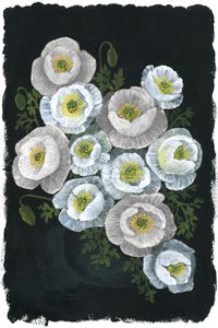 Elegantes amapolas blancas de Rosana Laiz Blursbyai