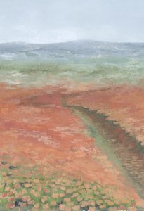 Camino a través de un campo en flor