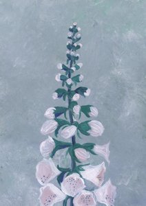 Flor de dedalera blanca de Rosana Laiz Blursbyai