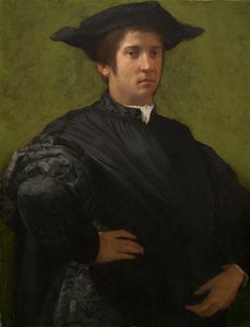 Retrato de un hombre de Rosso Fiorentino