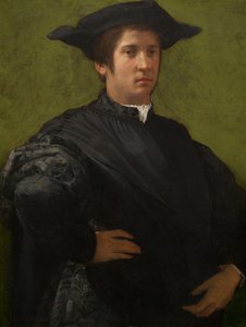Retrato de un Hombre, principios de 1520 de Rosso Fiorentino