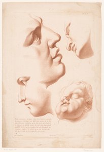 Cabezas de hombre, mujer y niño
Principios del dibujo del natural, segunda parte (título de la serie)
IIe Cahier de Principes du Dessin d