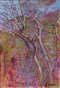 Paisaje, Estudio de Rubaldo Merello