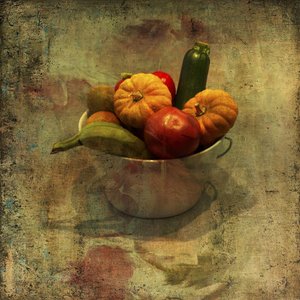  de Rudi Jacobs