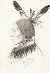 Heu-Topa, Cuatro Cuernos o Jagoo, El narrador, Jefe de los Hunkpapa Sioux de Rudolf Cronau