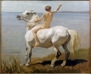Niño en caballo blanco