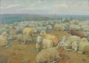 parque de ovejas de Rudolf Konopa