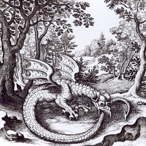 Un Dragón en el Bosque, de 