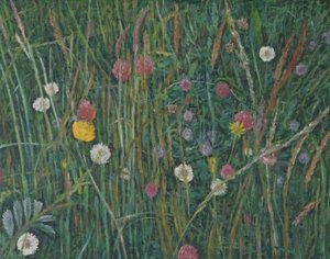 Plantas del Machair, 2008