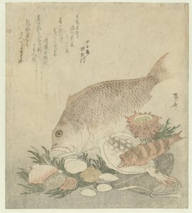 Pescado y Conchas