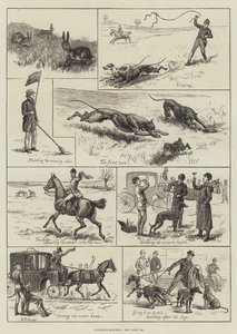 Carreras de galgos
